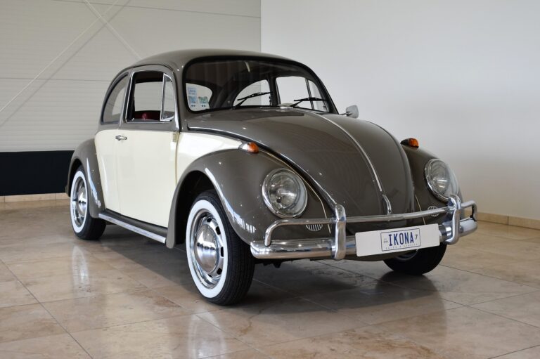 VW-Kaefer-scaled